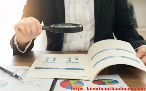 Các loại Ý kiến kiểm toán và Những lưu ý khi đọc Ý kiến kiểm toán, Các Ví dụ cụ thể