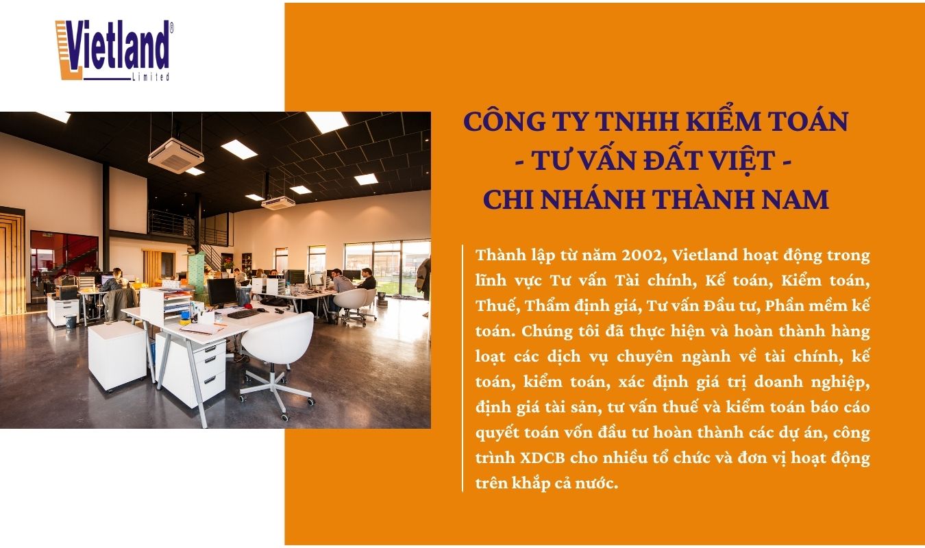 Giới thiệu chung - Công ty Kiểm toán Thành Nam - Chi nhánh Công ty Kiểm toán Đất Việt