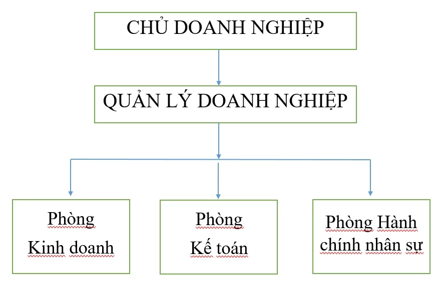 Sơ đồ cơ cấu tổ chức của Doanh nghiệp tư nhân
