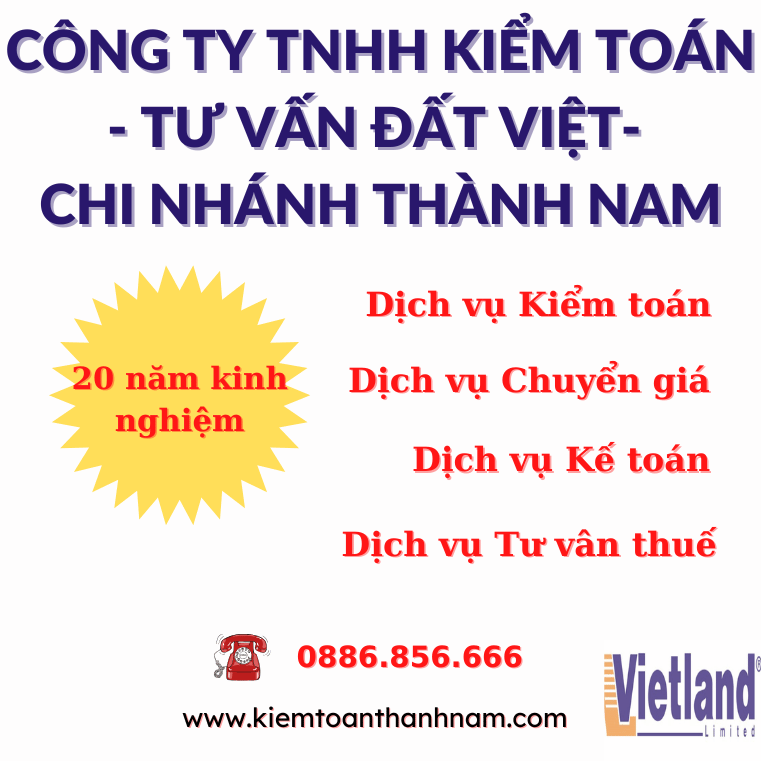 dich-vu-kiem-toan-cho-cong-ty-fdi