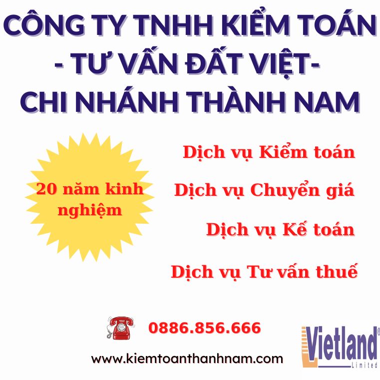 cong-ty-kiem-toan-tai-ha-noi